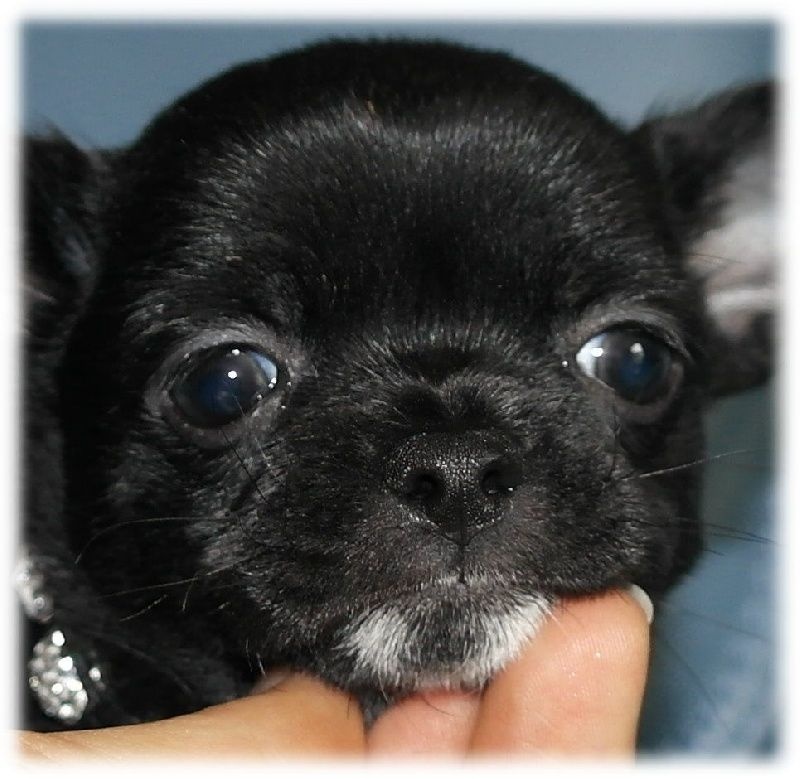 JEYRODD bébé portrait